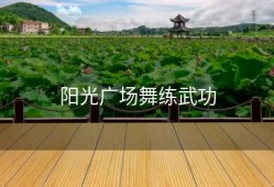 阳光广场舞练武功