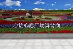 心语心愿广场舞背面