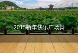 2015新年快乐广场舞