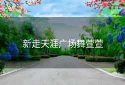 新走天涯广场舞萱萱