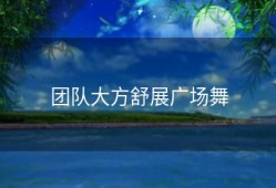 团队大方舒展广场舞