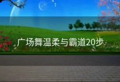 广场舞温柔与霸道20步