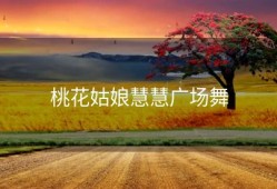 桃花姑娘慧慧广场舞