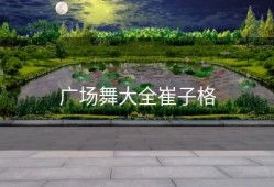 广场舞大全崔子格