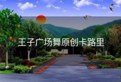 王子广场舞原创卡路里