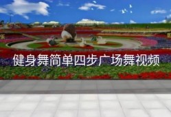健身舞简单四步广场舞视频