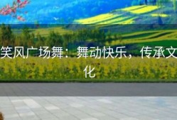 笑风广场舞：舞动快乐，传承文化