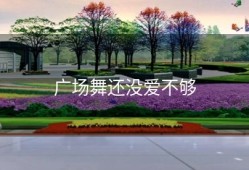 广场舞还没爱不够