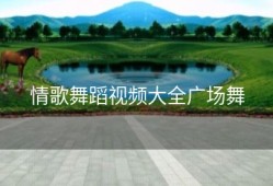 情歌舞蹈视频大全广场舞