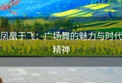 凤凰于飞：广场舞的魅力与时代精神