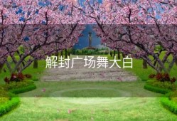 解封广场舞大白