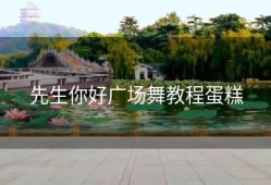 先生你好广场舞教程蛋糕