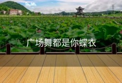 广场舞都是你蝶衣