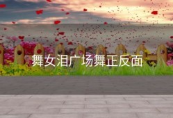 舞女泪广场舞正反面