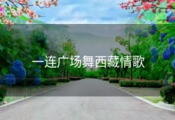 一连广场舞西藏情歌