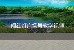 闯红灯广场舞教学视频