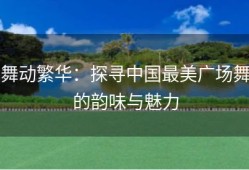 舞动繁华：探寻中国最美广场舞的韵味与魅力