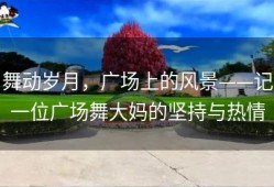 舞动岁月，广场上的风景——记一位广场舞大妈的坚持与热情