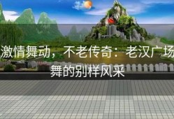激情舞动，不老传奇：老汉广场舞的别样风采