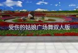 受伤的姑娘广场舞双人版