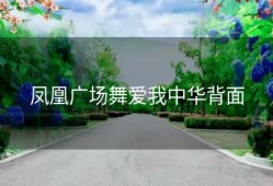 凤凰广场舞爱我中华背面