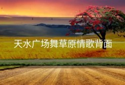 天水广场舞草原情歌背面