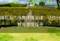 梅花泪广场舞抒情演绎：动作分解与意境探寻
