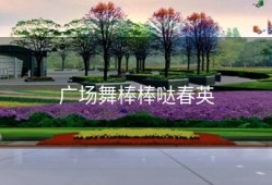 广场舞棒棒哒春英