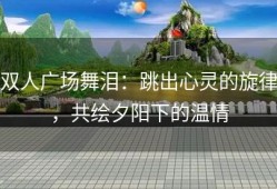 双人广场舞泪：跳出心灵的旋律，共绘夕阳下的温情