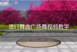 流行舞曲广场舞视频教学
