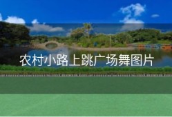 农村小路上跳广场舞图片