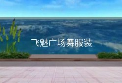 飞魅广场舞服装