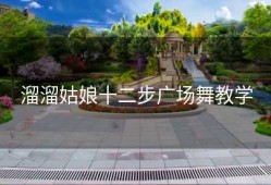 溜溜姑娘十二步广场舞教学