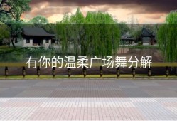 有你的温柔广场舞分解