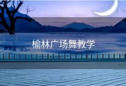 榆林广场舞教学