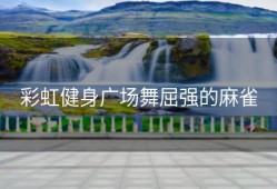 彩虹健身广场舞屈强的麻雀