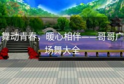 舞动青春，暖心相伴——哥哥广场舞大全