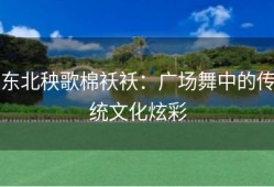 东北秧歌棉袄袄：广场舞中的传统文化炫彩