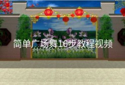 简单广场舞16步教程视频