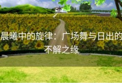 晨曦中的旋律：广场舞与日出的不解之缘