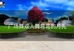 广场舞双人舞弯弯的月亮