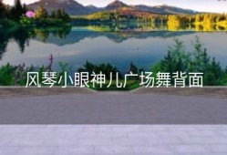 风琴小眼神儿广场舞背面