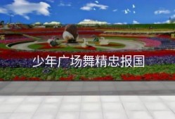 少年广场舞精忠报国