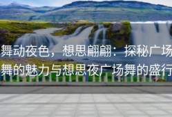 舞动夜色，想思翩翩：探秘广场舞的魅力与想思夜广场舞的盛行
