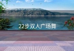 22步双人广场舞