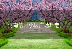 河南信阳小区广场舞老师