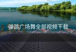 弹跳广场舞全部视频下载