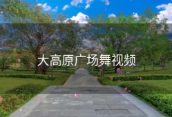 大高原广场舞视频