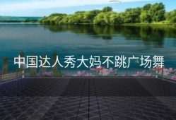 中国达人秀大妈不跳广场舞