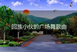 回族小伙的广场舞歌曲